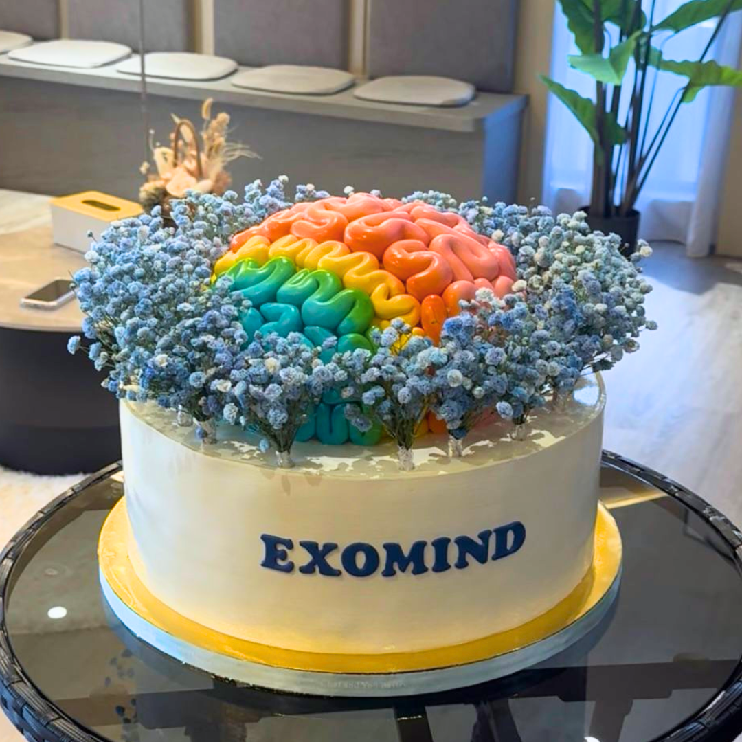 Exomind brain treatment in JB